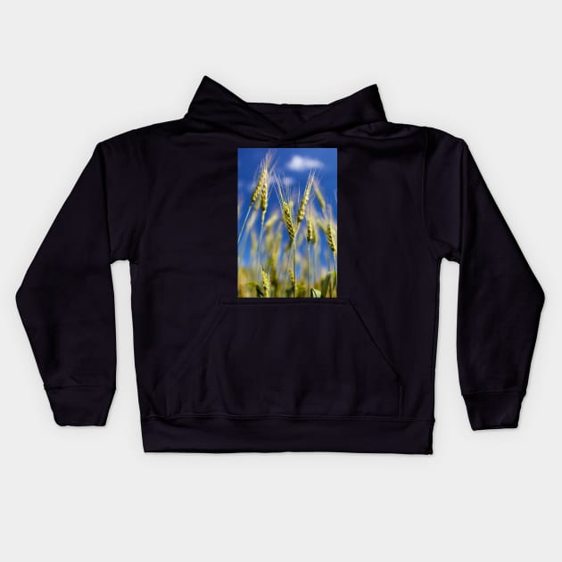 Wheat field closeup Kids Hoodie by naturalis